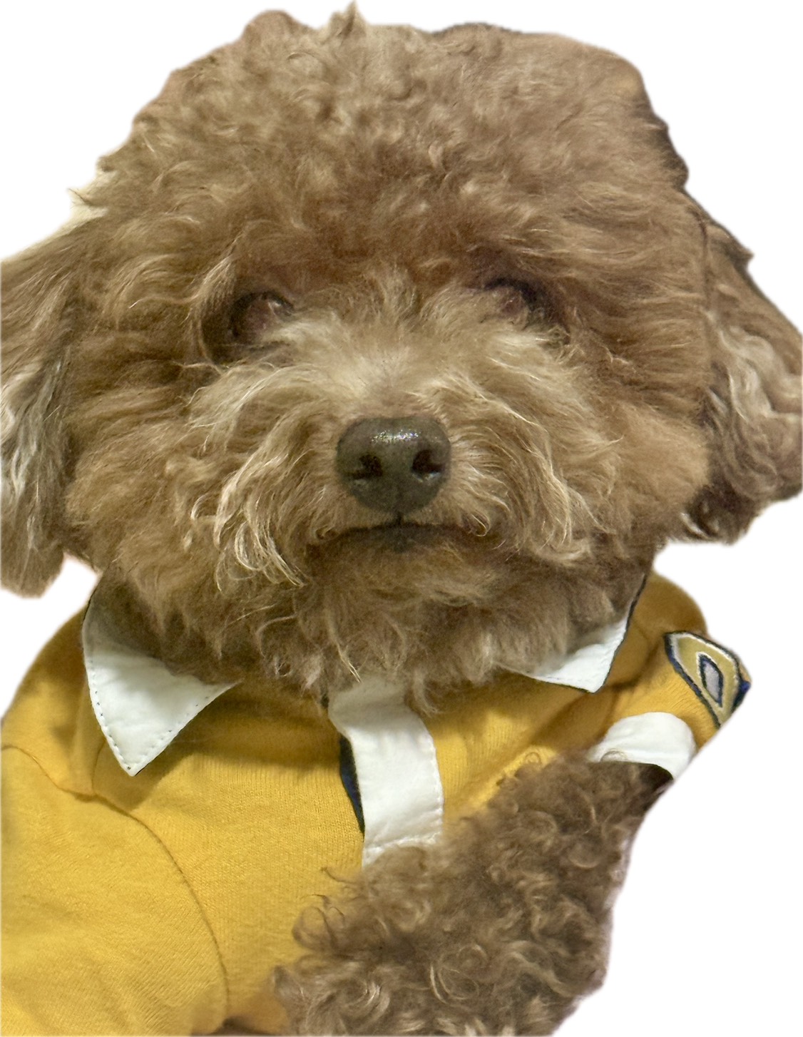 職場のイメージ