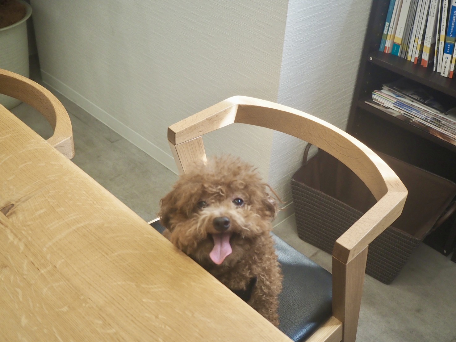 Ｍスタイルプランニング淵野辺本店のスタッフ一同