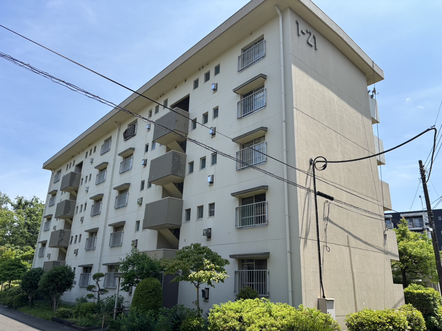 外観