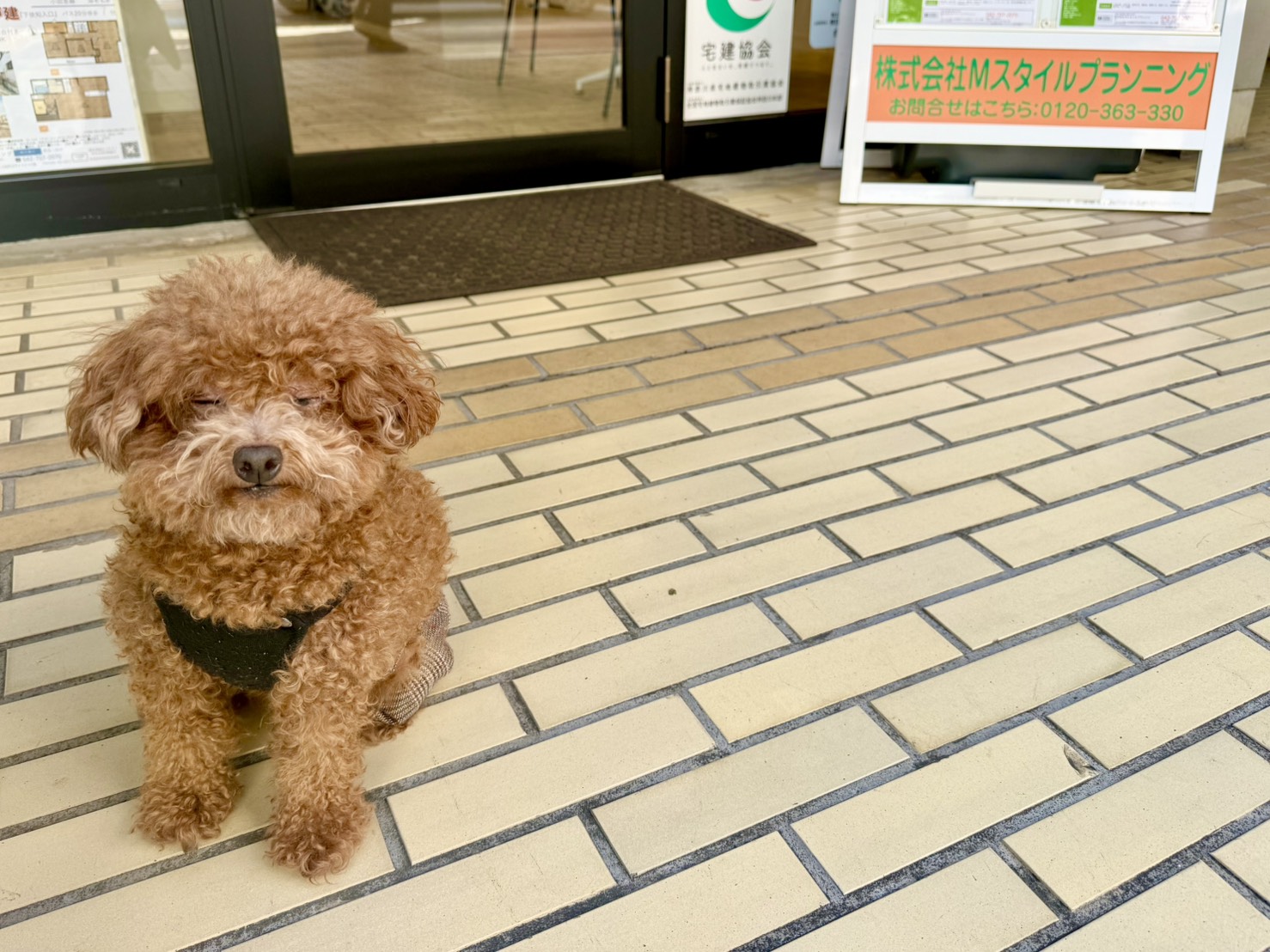 Ｍスタイルプランニング秦野営業所スタッフ一同