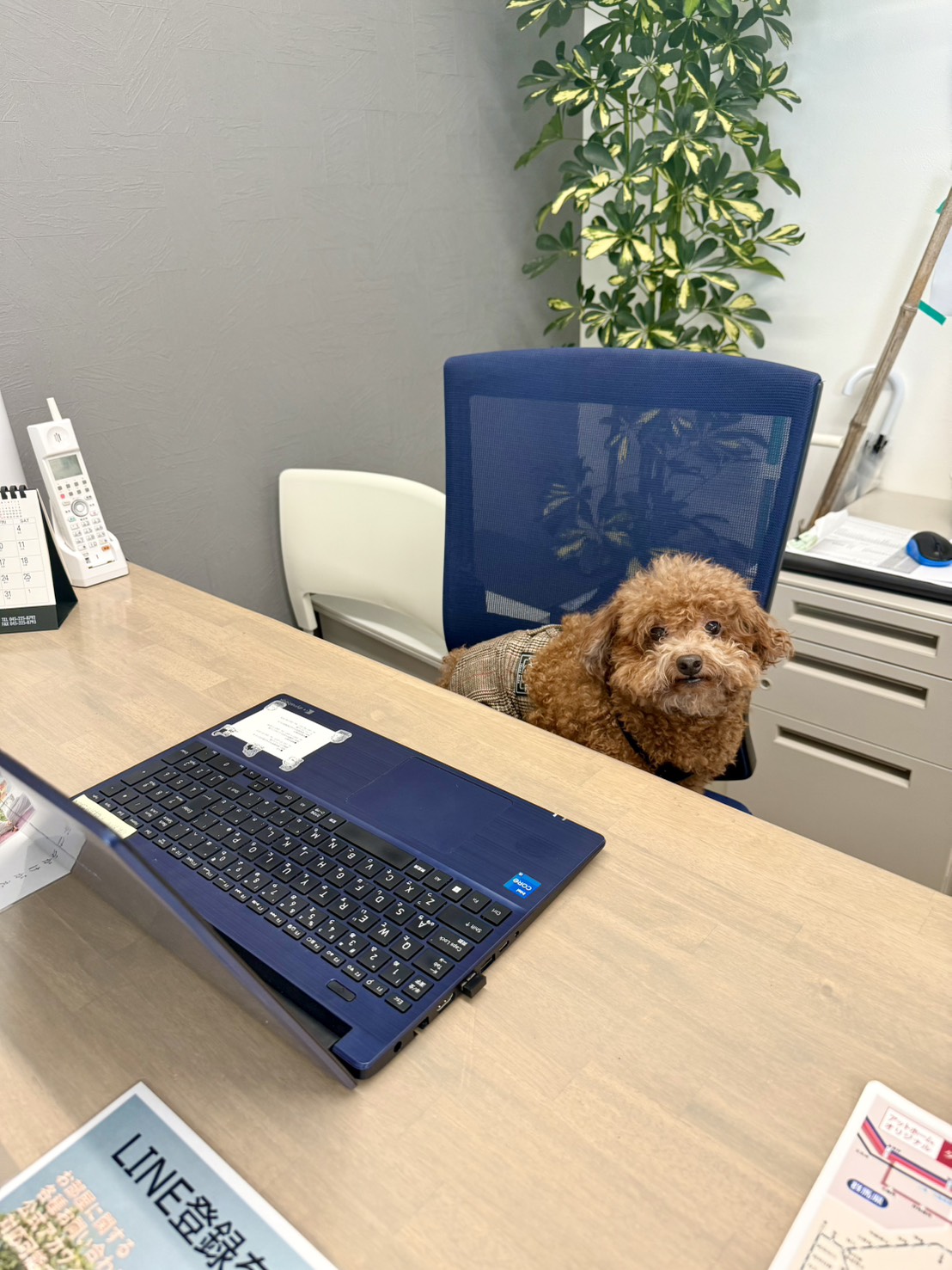 Ｍスタイルプランニング相模原営業所スタッフ一同